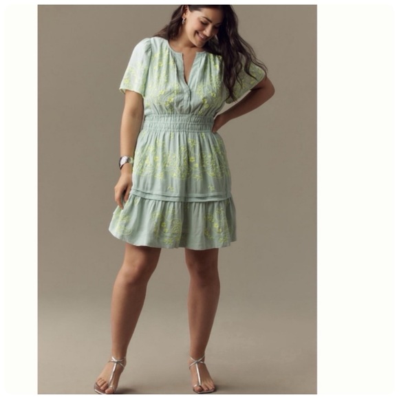 Anthropologie Dresses & Skirts - NWT Anthropologie The Somerset Embroidered Mini Dress: Linen Edition XL